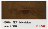 NEGAH TEF television